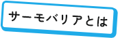 サーモバリアとは
